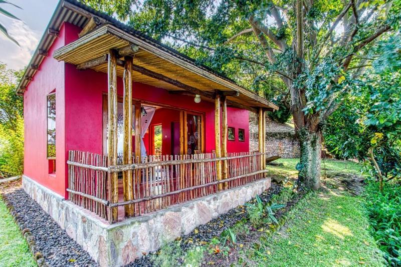 Chameleon Hill Forest LodgeBwindi Impenetrable Park エクステリア 写真